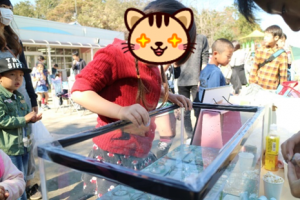 幼稚園バザーに行ってきました 幼稚園バザーに行ってきました